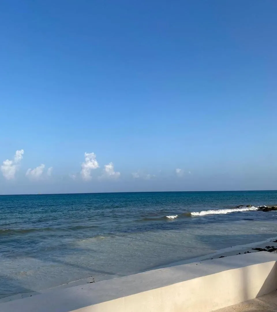 Beachfront 1 Bedroom Ocean View Playa del Carmen